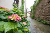 San Michele Al Borgo Hotels in Castiglion Fiorentino