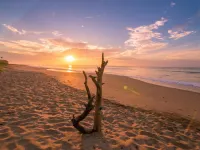 Ananya Beach Resort Hotels in Hambantota