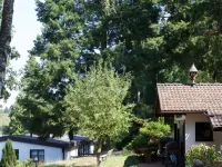 Hotel Haus am Wald Hotels in Eltmann