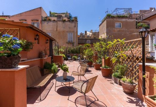 테리에 벨시아나 대표 이미지