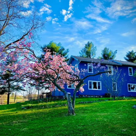 Inn Between the Lakes