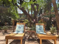 Hotel la Palapa