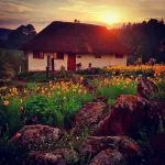 Otters Den Hotels in Howick