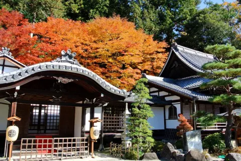Gero Onsen Yukyunohana