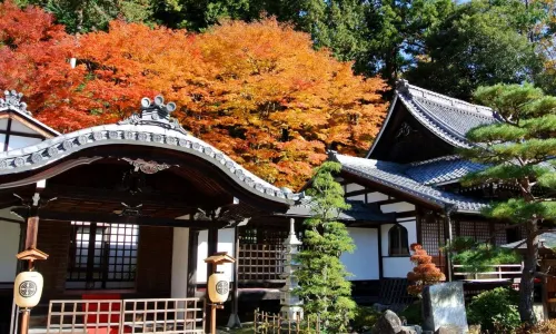 Gero Onsen Yukyunohana