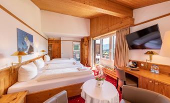 T3 Alpenhotel Flims