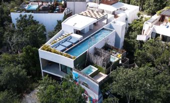 Azalea by Zamá Homes