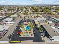 أمريكان اكزكيوتف إن