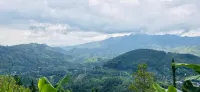 Senu Ceylon Ella - キッチン