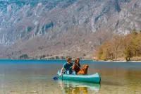 Apartmaji Triglav