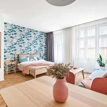 Enjoy Downtown Boutique Apartments #13 by Goodnite cz Hotels in Brno