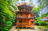Don Jon's Surf and Yoga Lodge