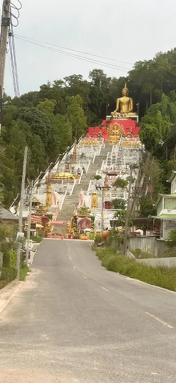 รูปภาพของPalm Tree Resort