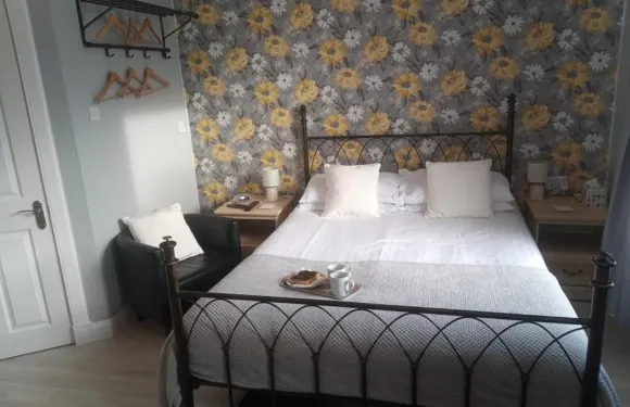 29 號井街家庭旅館