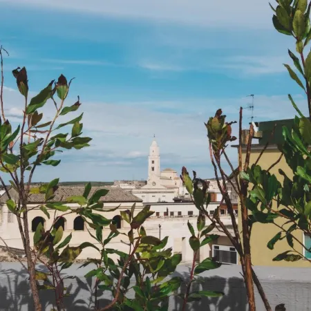 Lucana Rooftop