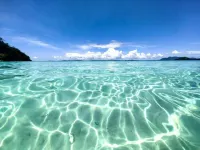 Adora's Place - Signature Room