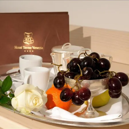 Hotel Terme Venezia