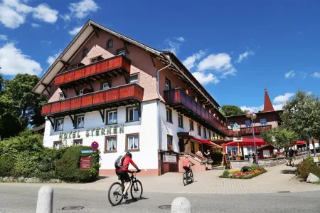 Wochner's Hotel-Sternen am Schluchsee Hochschwarzwald Отели в г. Брайсгау-Верхний Шварцвальд