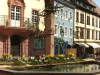 Tiptop Hotel Garni Pfauen Hotels in Endingen