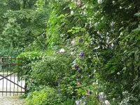Rosindell Cottage Hotels in Halle Westfalen