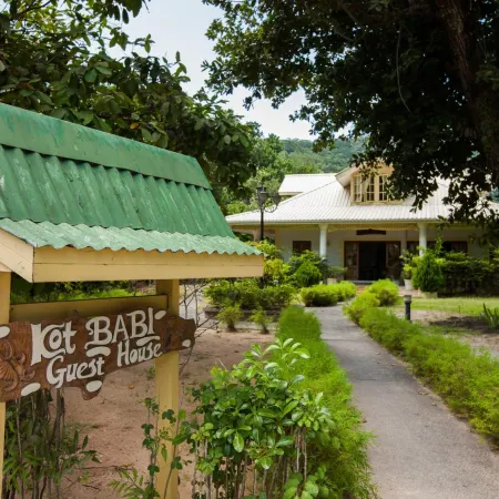 Kot Babi