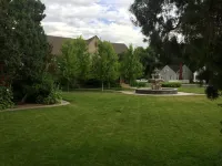 Black Swan Inn Luxurious Theme Rooms