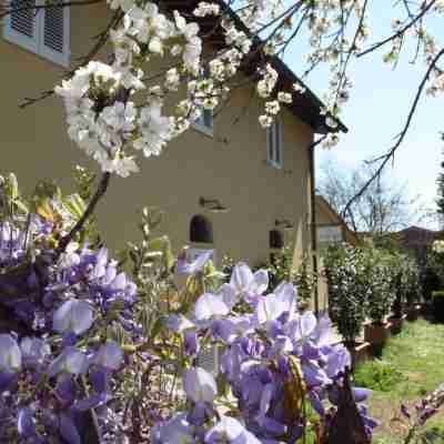 Hotel Calzaiolo Hotel Exterior