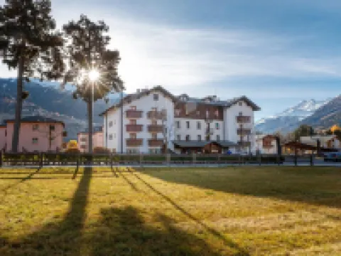 ホテル ヴィラ リナ ボルミオのホテル