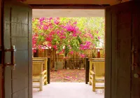 The Rabbit Tree Hostel Hotels in 