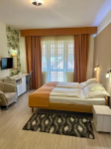 Hotel Négy Évszak Hotels in 