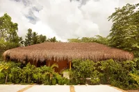 Piedra de Agua Palenque - navette aéroport