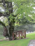 Country Hill B&B -  Holiday Villas