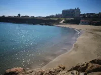 プロテアス マーレ スイーツ