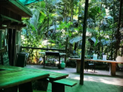 Daintree Crocodylus Hotels in Daintree