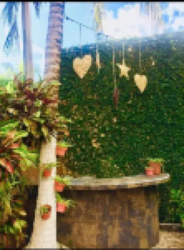 Casa Cristal Hotels in 