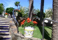 Apartamentos Tamaragua