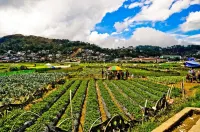 Gamal 360 Transient Baguio City