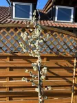 Hotel Sonne