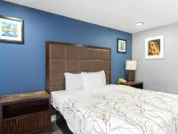 Golden Inn Dallas by Hotel O Hotels in Dallas