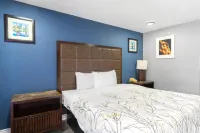 Golden Inn Dallas by Hotel O