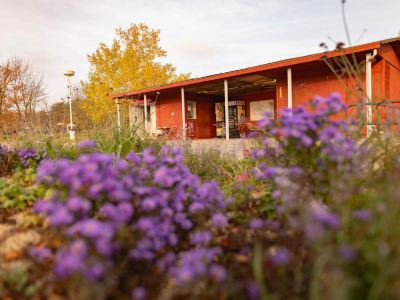 Prague Camping Dzban