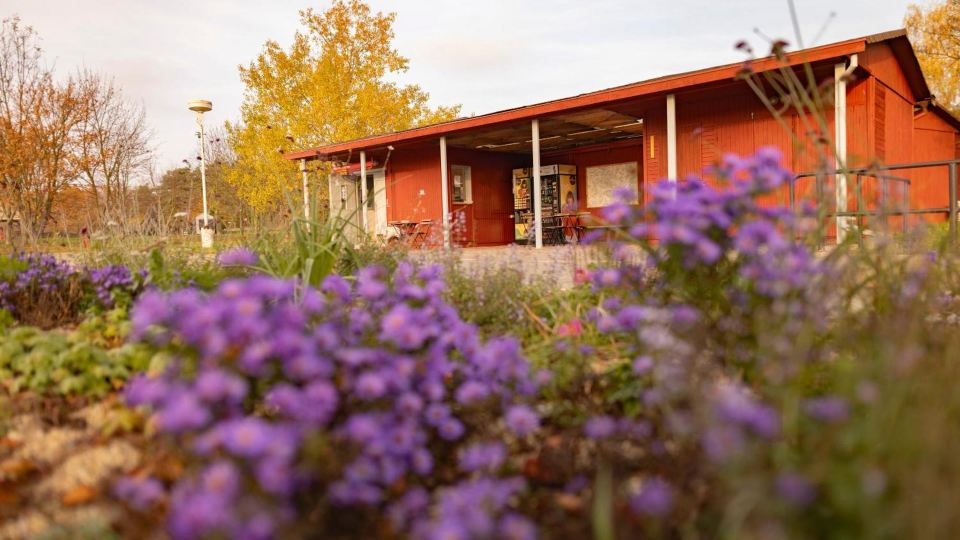 Prague Camping Dzban