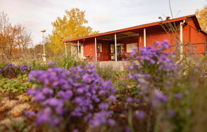 Prague Camping Dzban
