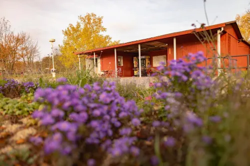 Prague Camping Dzban - Ramah Hewan Peliharaan