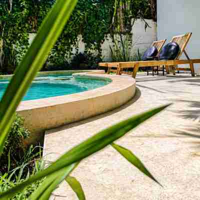 Amel House Fitness & Recreational Facilities