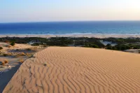 Dardanos Hotel Hotels in Gelemis