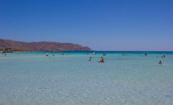Esthisis Suites Chania