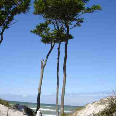 Hotel Haus Linden Fitness & Recreational Facilities