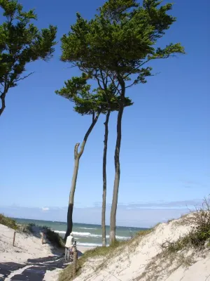 Hotel Haus Linden Hotels in Born