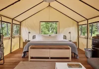 AutoCamp Catskills Hotels in Woodstock